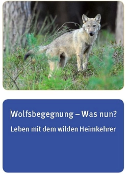 Titelblatt der Broschüre "Wolfsbegegnungen - Was nun?" © Landkreis Oldenburg